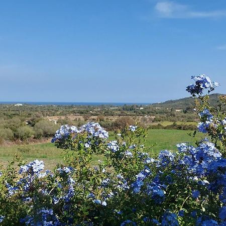 La Casa Di Eve Villa Budoni Eksteriør bilde