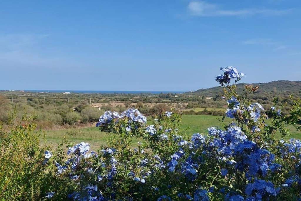 La Casa Di Eve Villa Budoni Eksteriør bilde