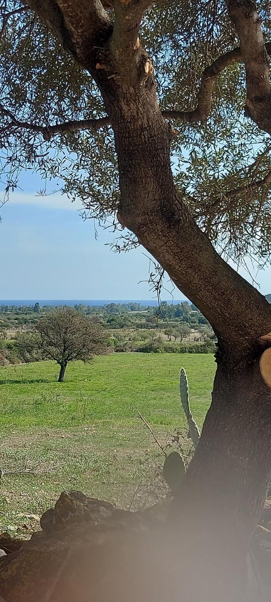 La Casa Di Eve Villa Budoni Eksteriør bilde