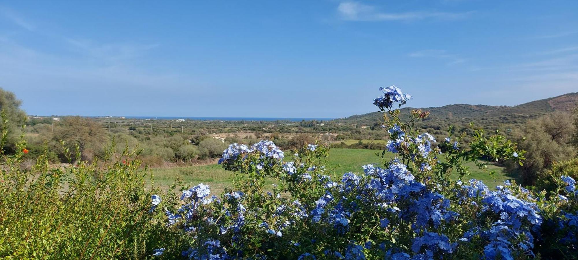 La Casa Di Eve Villa Budoni Eksteriør bilde